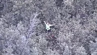 YouTube survival challenge contestant rescued in woods