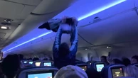 Watch: Bizarre moment two pigeons spark chaos on Delta flight