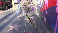 Wreath laid in honour of Donald Sutherland on Hollywood Walk of Fame