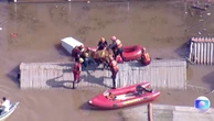 Horse stranded on roof during Brazil floods rescued by boat