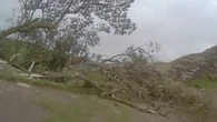 Sycamore Gap: Moment police see felled tree for the first time