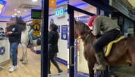 Mane course: Two men on horses ride into chip shop