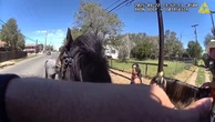 Suspect takes flees after being told police horse can smell drugs