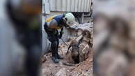 Sniffer dogs search Saydnaya prison after Assad family regime toppled