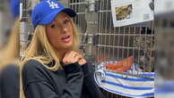 Paris Hilton volunteers at LA pet shelter after wildfires destroy home