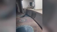 Hungry crocodile enters restaurant and leaps over counter into kitchen