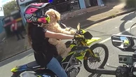 Biker riding with dog strapped to her pulled over by police officer