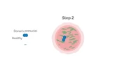 IVF technique which created eight healthy babies demonstrated