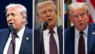 ‘Like nobody’s ever seen!’ Everything in Trump world is unprecedented