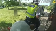 Video: Moment dog attacks police horses on patrol in London park