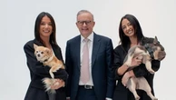 Anthony Albanese channels his inner Gen Z with ‘Delulu’ phrase
