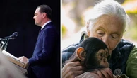 Video: Leonardo DiCaprio’s touching tribute to Jane Goodall