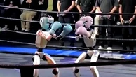 World’s first humanoid robot kickboxing tournament held in China