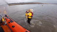 Watch: Spooked dog rescued by RNLI after getting swept out to sea