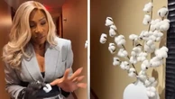 Serena Williams speaks out over cotton plant as decoration in hotel