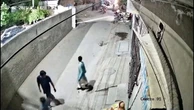 Pet lion escapes and attacks a woman and two children in the street