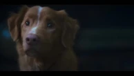 New horror film shot from perspective of a dog drops first trailer