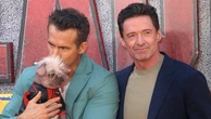 Ryan Reynolds’ sweet message as he embraces Britain’s ugliest dog