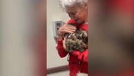 Owner’s tearful reunion with cat two months after deadly LA fires