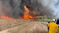 Arizona wildfire ‘0% contained’ after burning nearly 1,000 acres