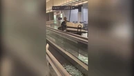 ‘Drunk’ man steals golf cart and drives it around Buffalo airport