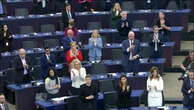 Alexei Navalny’s wife receives standing ovation at European Parliament