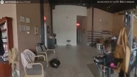 Cops respond to burglary in progress and instead find deer