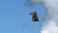 Runaway pet zebra is rescued and airlifted to safety in Tennessee