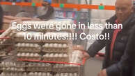 Costco customer captures egg-stockpiling frenzy amid bird flu crisis