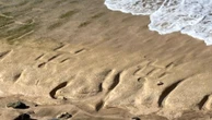 Mistério no Havaí: areia some e exibe figuras de 500 anos gravadas em pedra