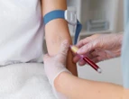 Em apoio ao Junho Vermelho, SP Market recebe campanha de doação de sangue nesta sexta (6)