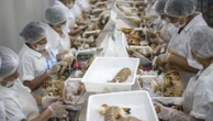 Tarifa de 37,5% dos EUA ameaça mais de 4.000 produtos brasileiros, diz CNI