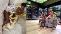 Homem cria mais de 100 cobras e filhos dormem com elas: 'São dóceis'