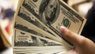 Dólar opera em baixa, vendido perto de R$ 5,01; acompanhe