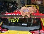 Gianluca Petecof apresenta capivara da Racing KTF: 'Mais que um presente, é uma causa especial'