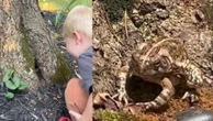 Mãe descobre amizade do filho com animal em árvore e cria lar para o amigo