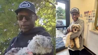 Cachorro some por 10 anos e volta para casa graças a um microchip