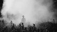 Lobby do agrotóxico envenena água e comida no Brasil com aval do Congresso Leonardo Sakamoto