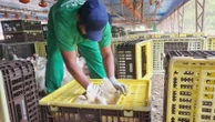 JBS é autuada por trabalho análogo ao escravo na produção de frango no RS Daniela Penha