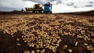 Lucro da Bunge desaba com incertezas nos EUA, mas Brasil evita pior cenário Graciliano Rocha