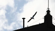 Quando surgiu a fumaça branca e como ela virou tradição nos conclaves