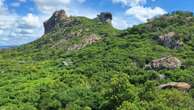 Estudo detalha riqueza desconhecida da Caatinga e propõe novo mapa do bioma Carlos Madeiro