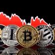 O futuro das criptomoedas no sistema financeiro global Letícia Braga de Andrade