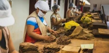 O agro puxou o PIB, mas não do jeito que você imagina