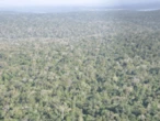 Deputados pedem ação urgente da Unesco para proteger Iguaçu