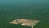 Brasil terá de fazer reformas em sua política ambiental para entrar na OCDE