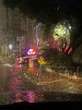Homem morre após ser atropelado na calçada por motorista embriagada em SP