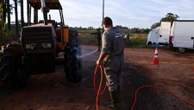 Gripe aviária: ovos de granja afetada estão em 3 estados e serão destruídos