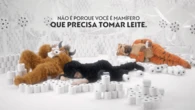 Sem leite? Em comercial, NotCo brinca com 'mamíferos da Parmalat'