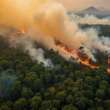 Dino manda União aumentar bombeiros contra incêndios na Amazônia e Pantanal